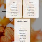 Diseño web personalizado con APIs interactivas